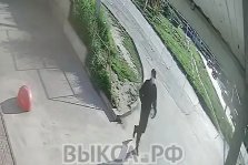 выкса.рф, В Мотмосе неизвестный мужчина проколол колёса автомобилю